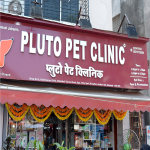 Pluto Pet Clinic - Pune